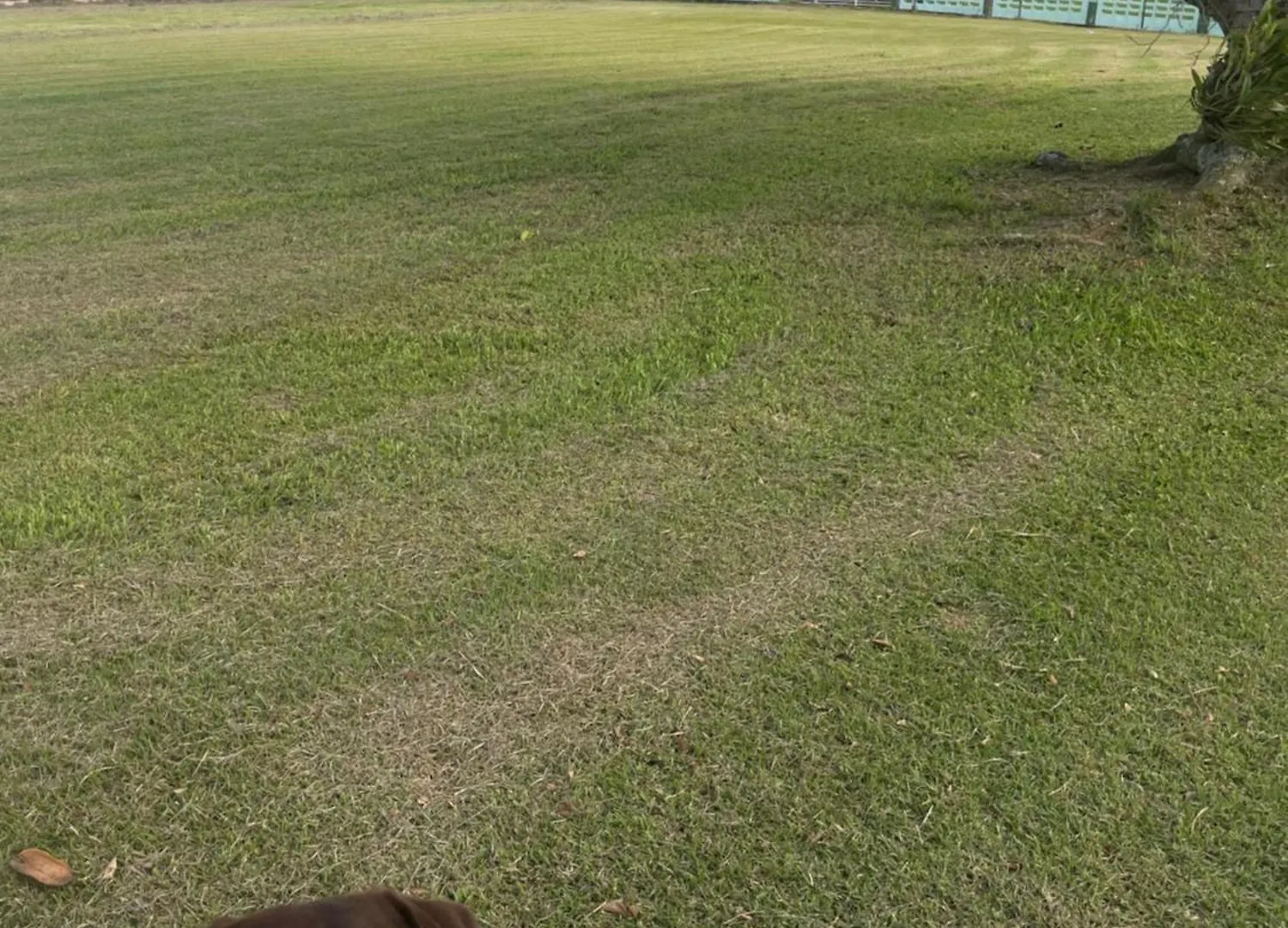 Hogar Bello Sitio Carmelita ホステル